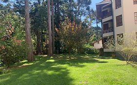 Apartamento lindo e aconchegante em Capivari.